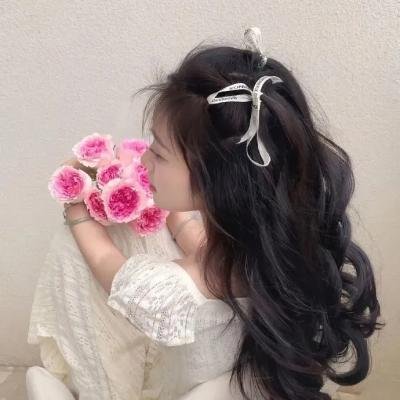 邦塔颂歌