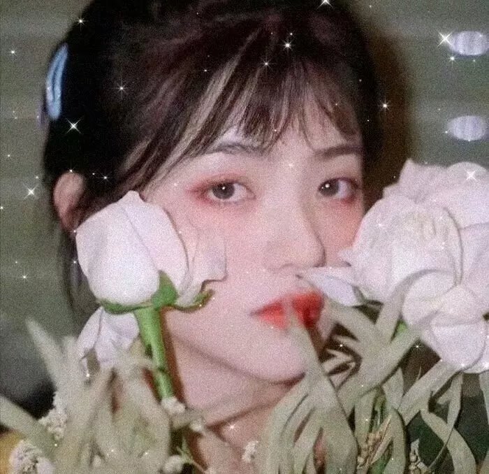非洲城的后裔