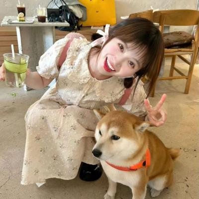 兰花香